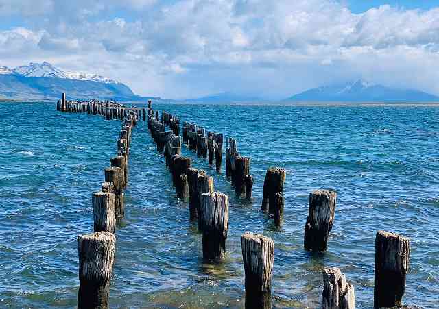 ocean with logs and mountains